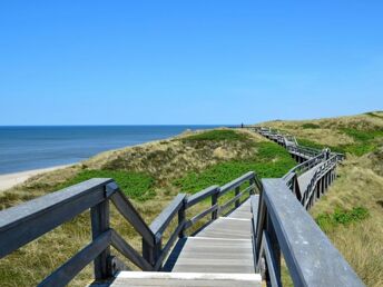 Sommerlaune auf die Nordsee | 8 Tage