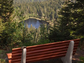 Winterspecial | Auf Schusters Rappen in Schönmünzach!