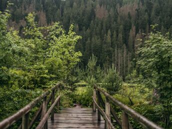 Himmlisches Wandern in Baiersbronn