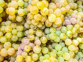 Moselreise - Silvester 3 Nächte