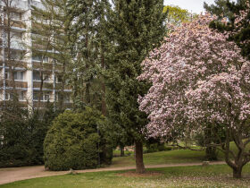 Gesund & Fit in den Crucenia Thermen - 3 Tage in Bad Kreuznach