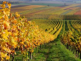 Schnäppchen Herbst in Bad Kreuznach - 3 Tage