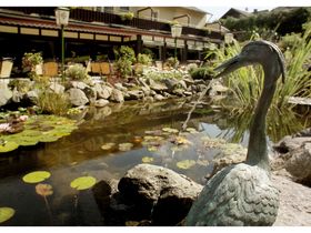 Ihre kleine Auszeit in der Eifel l eine Nacht mit Frühstück und Wellness
