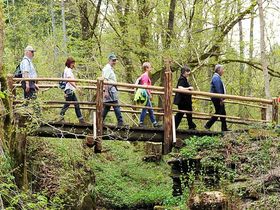 6 Genießertage in der Eifel inkl. Halbpension & Wellness