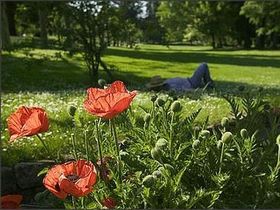 Kurzurlaub inkl. Frühstück im Vogelsberg-Spessart – Erholen Sie sich in idyllischer Natur |3 Tage  