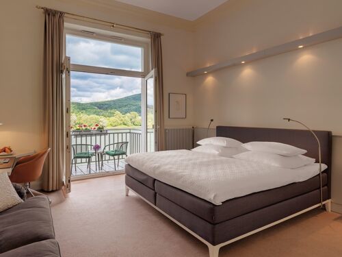Rheinhotel Dreesen