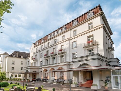 Rheinhotel Dreesen