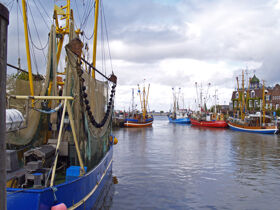 4 Tage Nordsee...ganz nah inkl. Halbpension