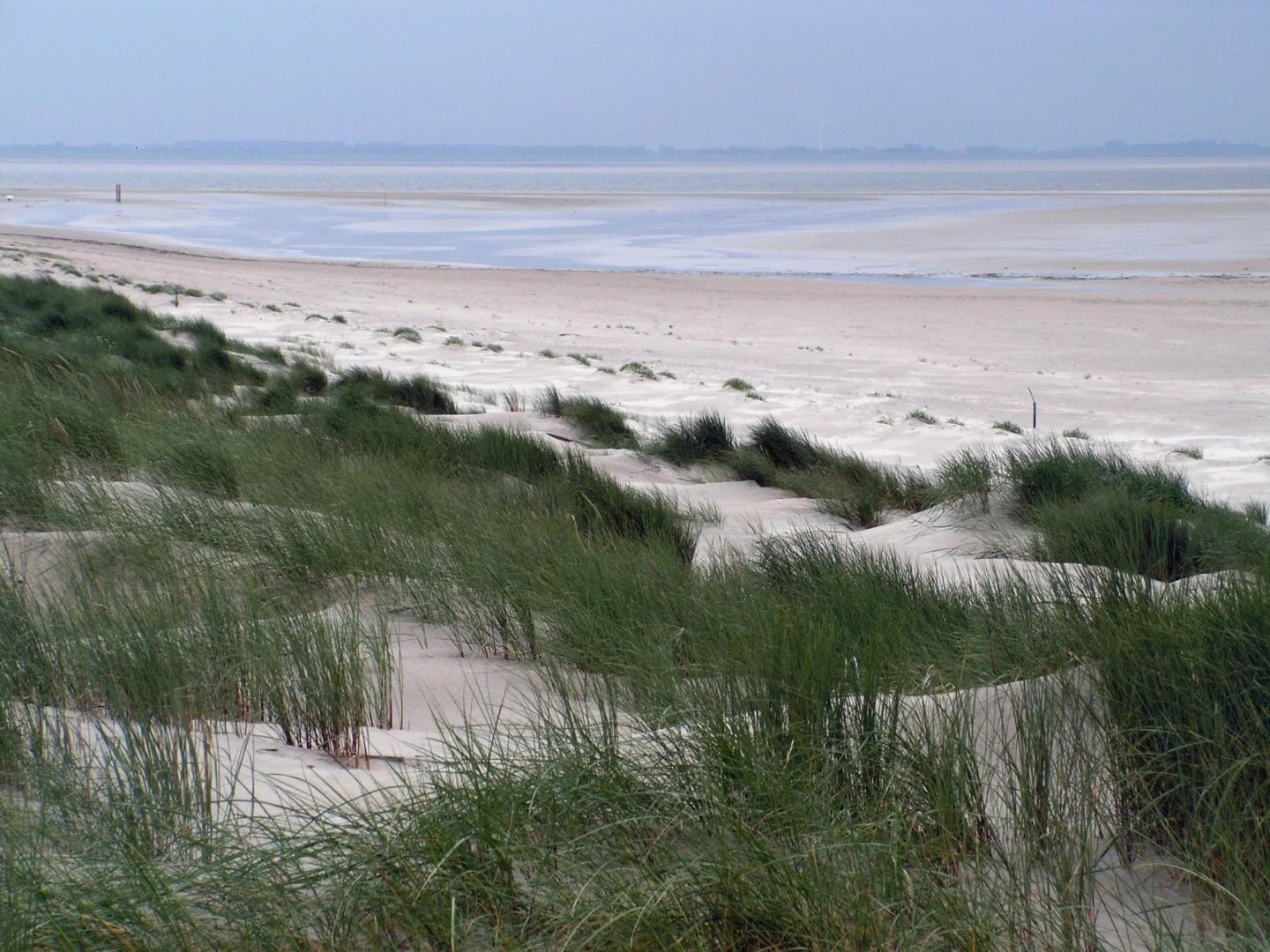 LAST MINUTE DEAL -die Nordsee ganz nah 3 Tage Ostfriesland inkl. Abendessen und  vielem mehr..