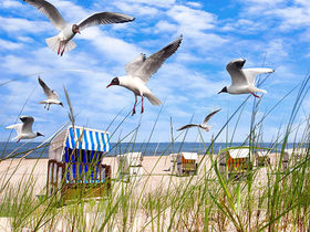 Residenz-Wochen in Wittmund inkl. Halbpension