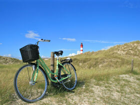 4 Tage Nordsee...ganz nah inkl. Halbpension