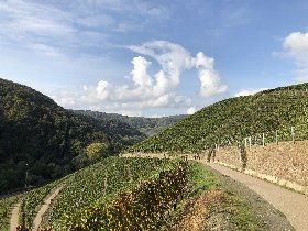 3 Tage Genussurlaub am Rhein inkl. Schifffahrt & Halbpension