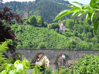 Bild 31 von 33