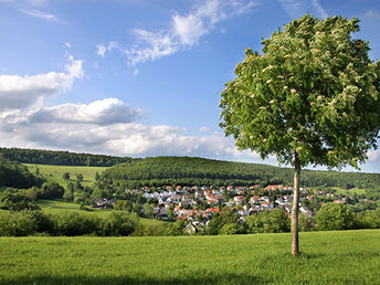 Bild 18 von 21