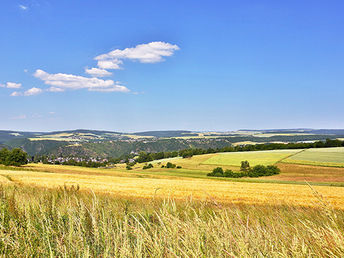 Bild 19 von 21
