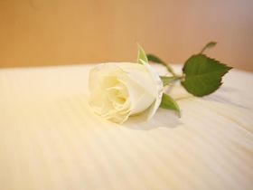 3 Tage am Rhein inkl. Kristall-Rheinpark-Therme 