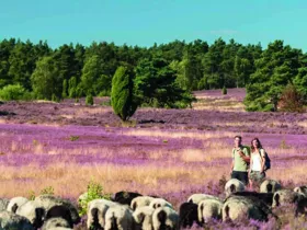 Schönes Land in Sicht! in der Lüneburger Heide inkl. Halbpension
