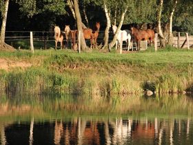 Kurzurlaub im seenreichen Norden