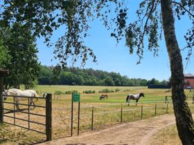 Kurzurlaub im seenreichen Norden