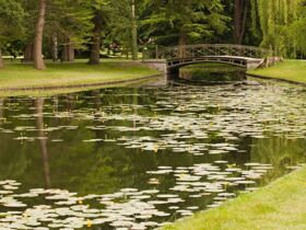 Schwerin erleben inkl. Dinner