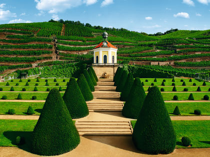 Weinromantik - 4 Tage Dresden
