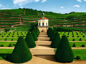 Weinromantik - 4 Tage in Dresden