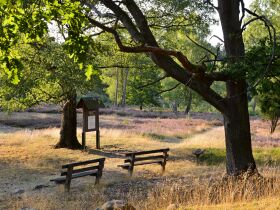 3 Tage exklusiv in die Heide nach Soltau verreisen - nur 99 EUR!