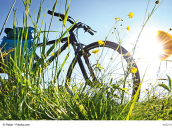 Bild 19 von 25