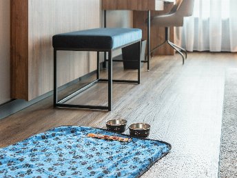 Entdecken Sie Rostock – Ihr Hund und Sie im perfekten Kurzurlaub!