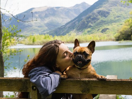 Kurzurlaub im Schwabenland mit Hund