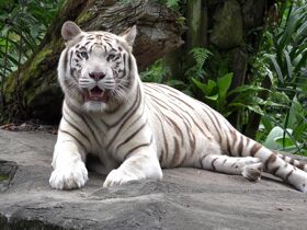 3 Tage - Kuschelwochenende für Genießer inkl. Abendessen 