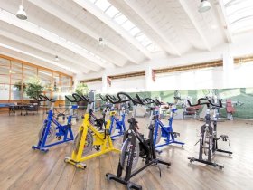 Kurzentschlossen nach Zingst