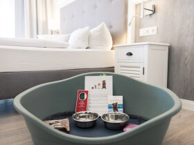 Kurzentschlossen nach Zingst