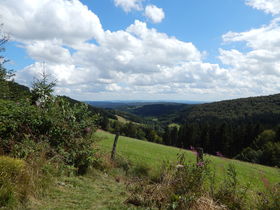 8 wunderbare Verwöhntage im Sauerland inkl. Halbpension & SauerlandCard