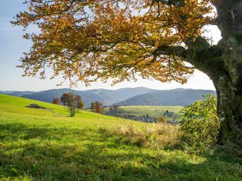 Bild 19 von 30