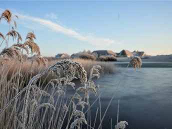 Bild 8 von 30