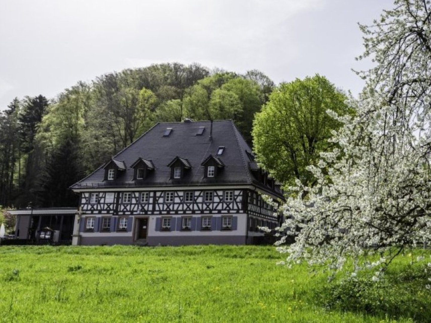 Der kleine Erholungsurlaub im Schwarzwald 8 Tage