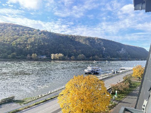 Goldener Rheingauer Weinherbst: Wandern, Wein & Schiff