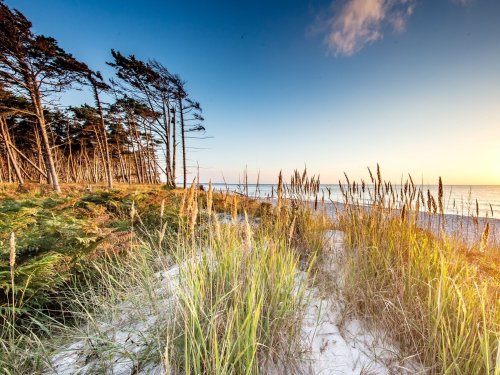 5 Tage Darß inkl. Abendessen & Wellness
