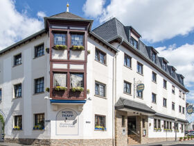 4 Tage Wandern auf dem berühmten Rheinsteig entlang Rhein und Reben 