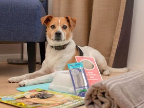 Sleep & Relax - 2 Tage Kurzurlaub mit Tiefenwirkung - Mercure und Carolus Thermen