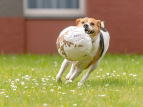 Sleep & Relax - 2 Tage Kurzurlaub mit Tiefenwirkung - Mercure und Carolus Thermen