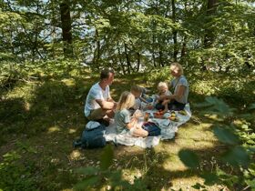 Entschleunigung auf der Insel Usedom - Alles was ich brauche - Kurzurlaub im 4****S Hotel 