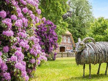Heideschleifen Wandern- 7 Tage in der Lüneburger Heide  