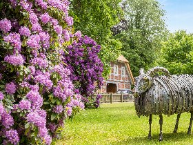 4 Genießer Tage im Flair Hotel Rieckmann Lüneburger Heide 