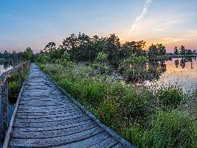 Heideschleifen Wandern- 7 Tage in der Lüneburger Heide  