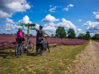In die Heidelandschaft mit dem E-Bike- 4 Tage in der Lüneburger Heide  