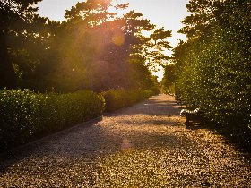 Pfingstglück auf Usedom im Strand,- und Wellnesshotel Preussenhof