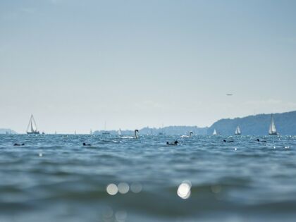 Wochenende am See: Katamaran-Fahrt nach Konstanz