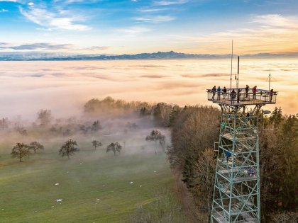 Genussherbst: 4-Gang-Menü und Weingut-Gutschein